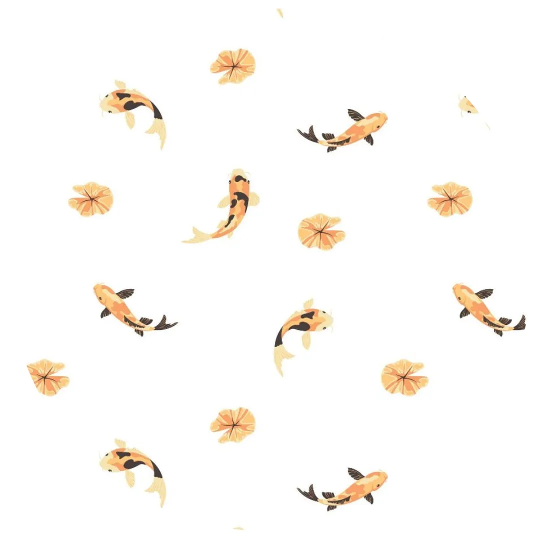 Koi | Snap Footie